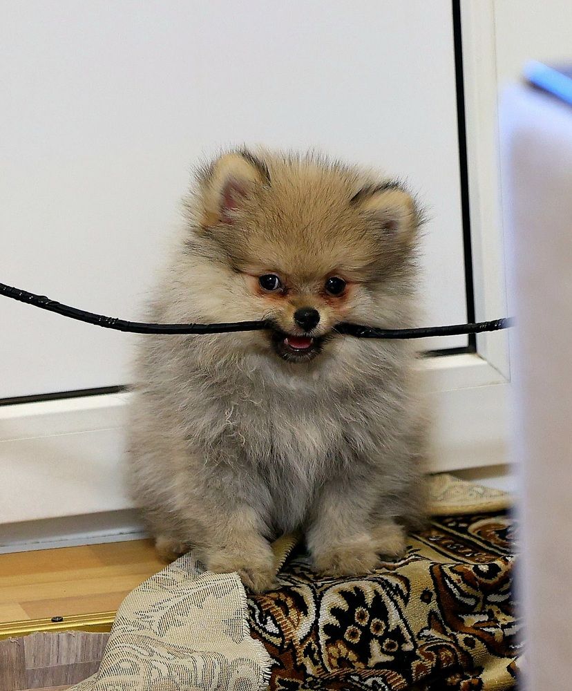 Маленький электрик.