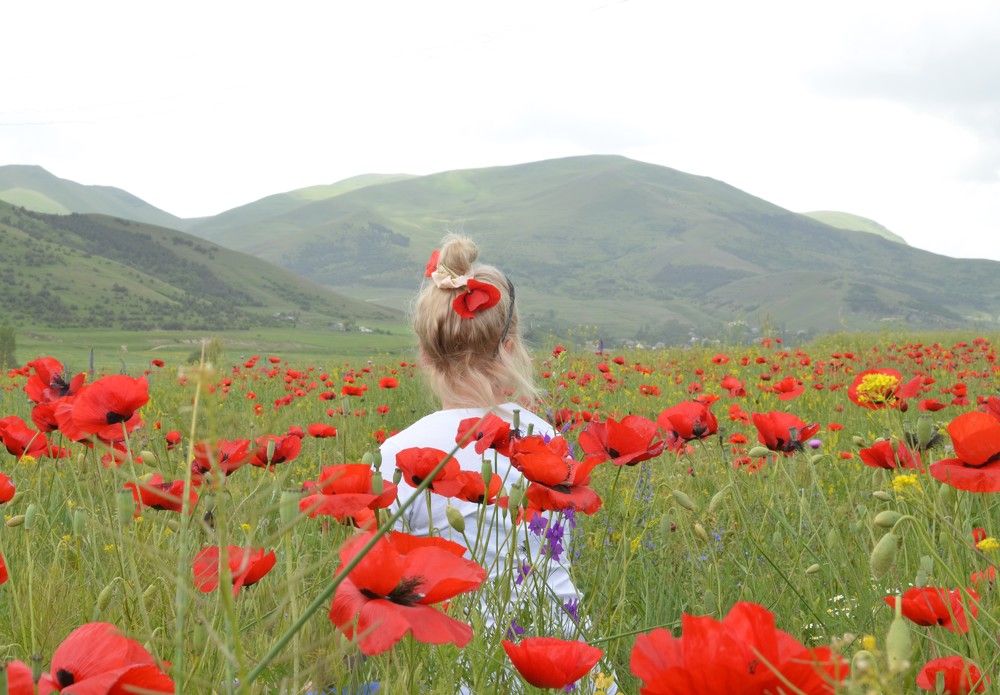 Photograph by Валерий Калинов