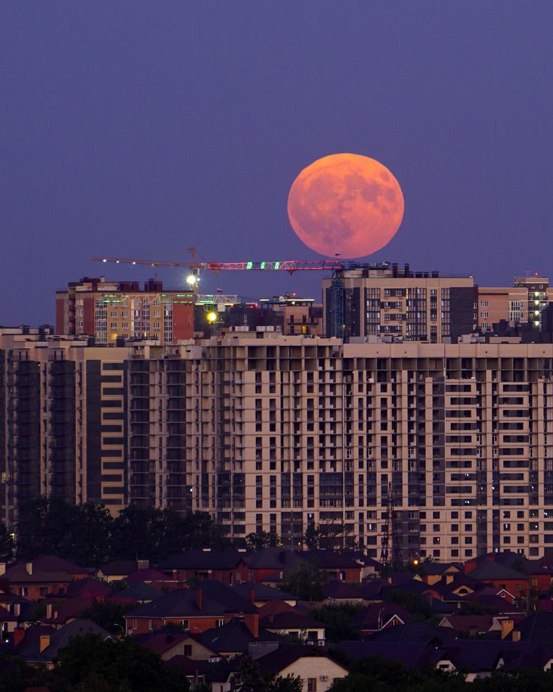 Photograph by Дмитрий Лобанов