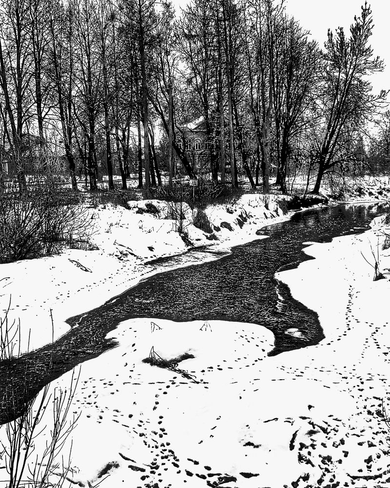 Photograph by Титаренко Людмила