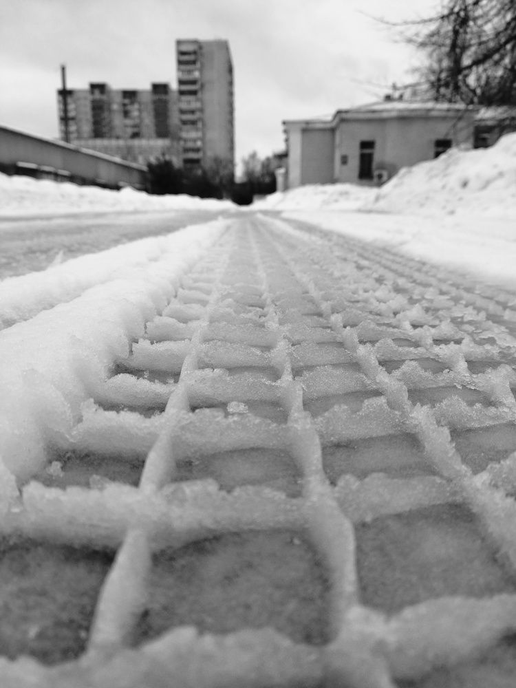 Photo #11262022