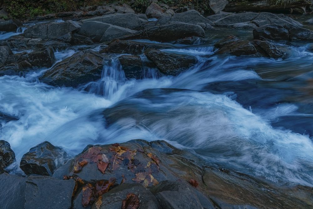 Photograph by Budyta Dariusz