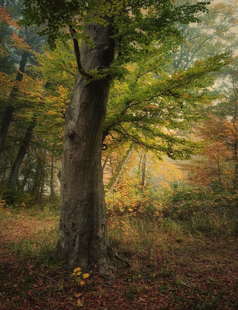 Photograph by Kriss Krissowski