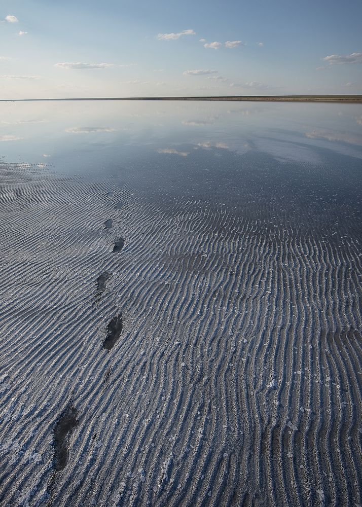 Фотография автора Ольга Белоусова