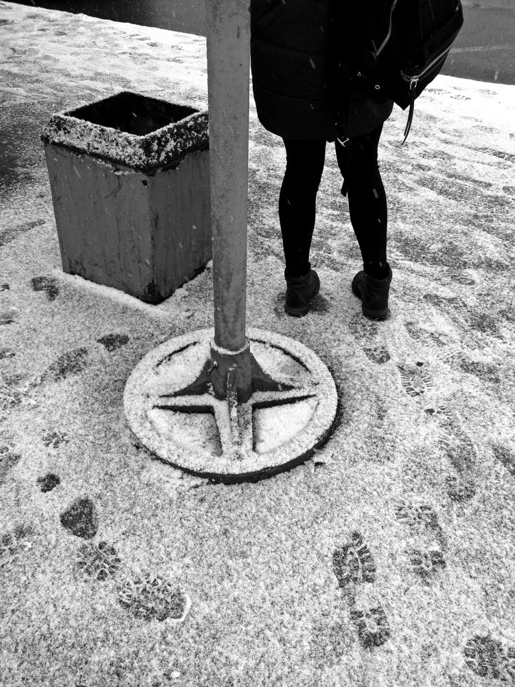 Photograph by Михаил Янкин