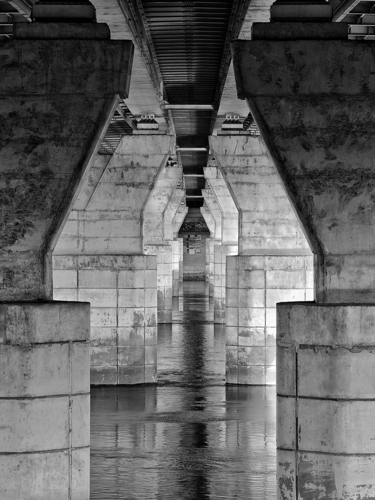 Photograph by Anna Vasenkova