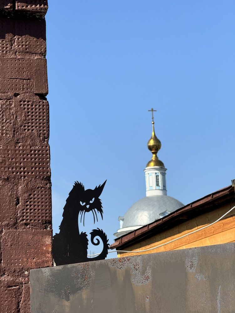 Фотография автора Ринат Абдуллин