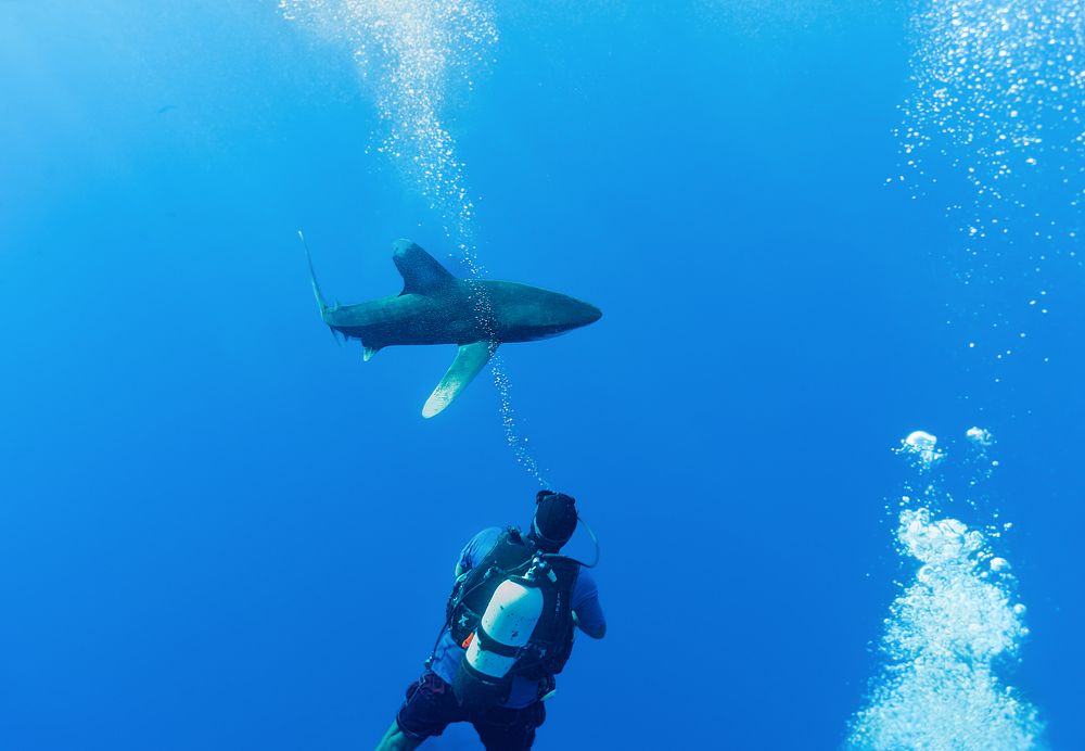 Photograph by Валерий Одинцов