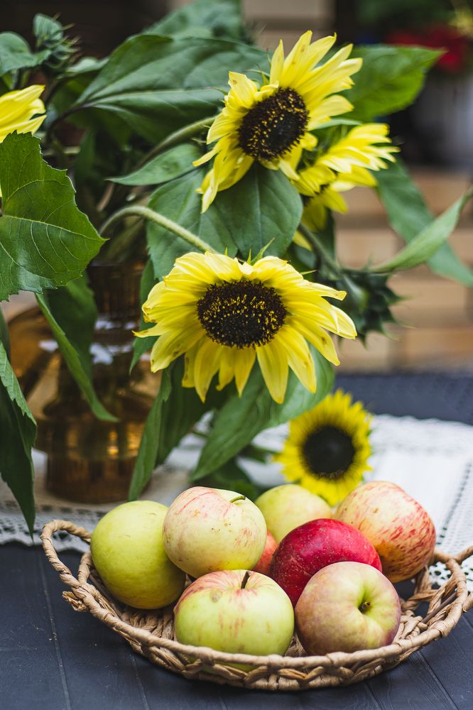 Фотография автора Светлана