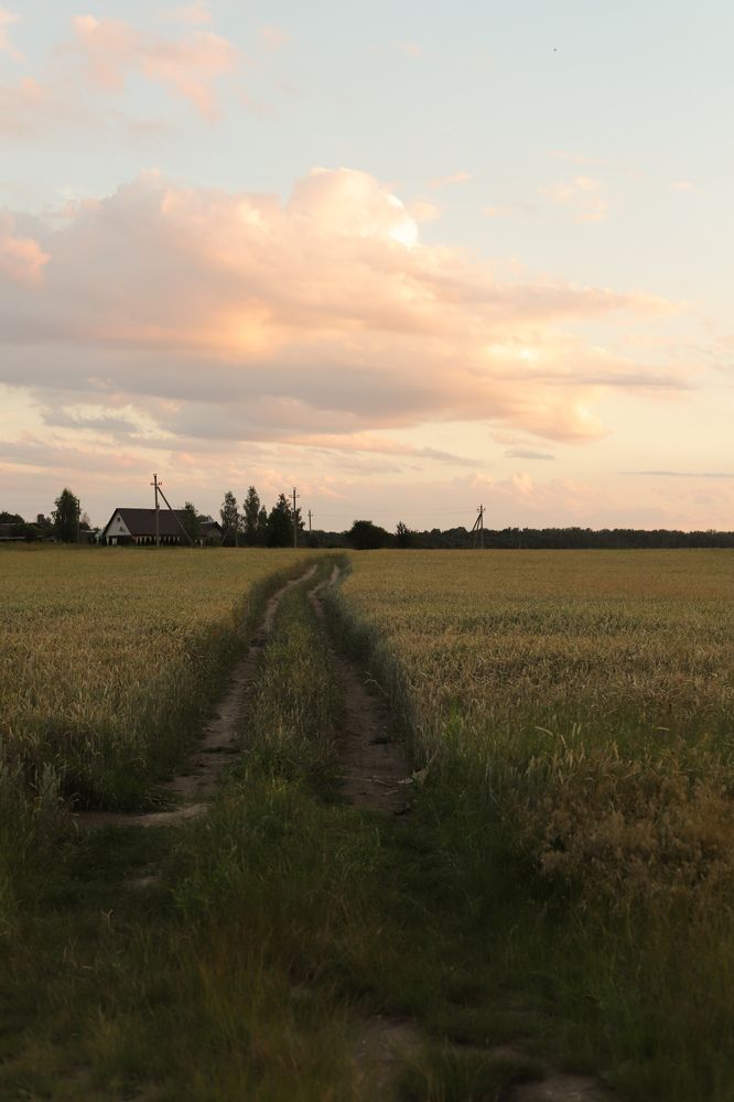 Фотография автора Екатерина Нефёдова