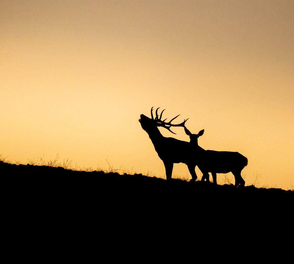 Photograph by Alberto Serrano Suarez