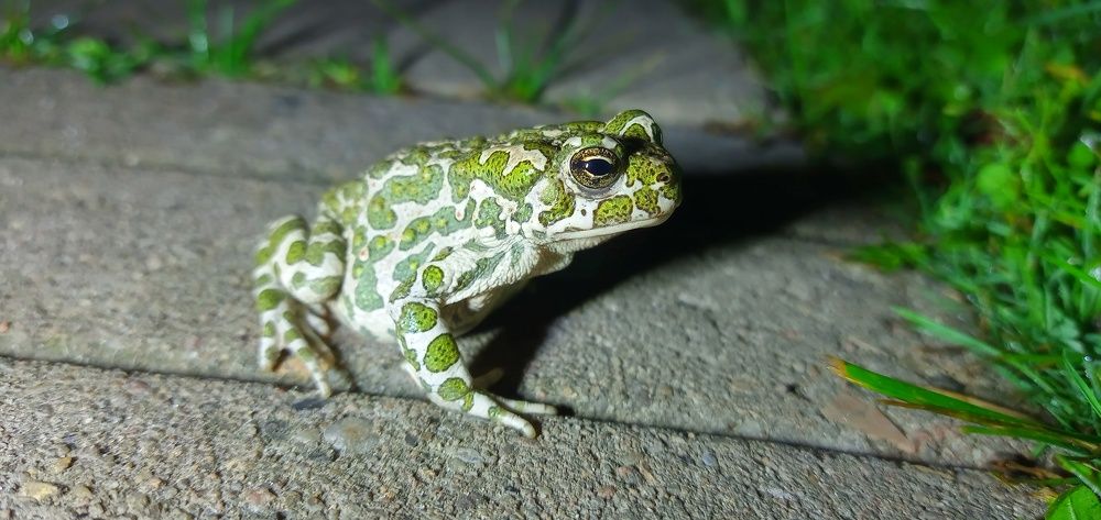 Photograph by Алексей Андреев