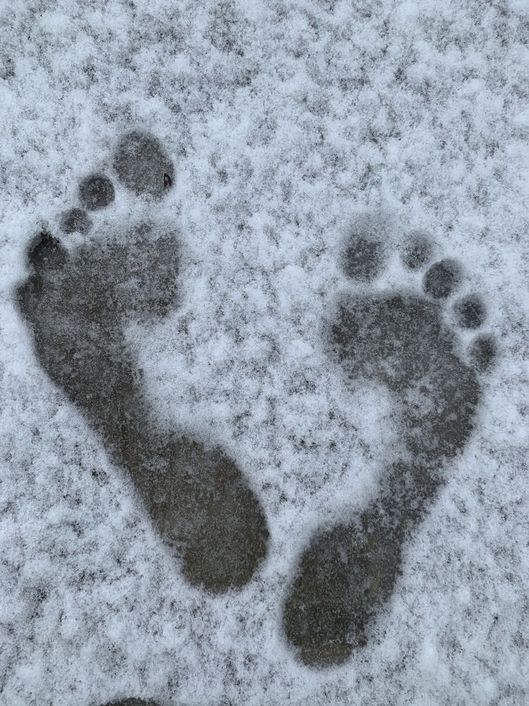 Photograph by Елена Смирнова