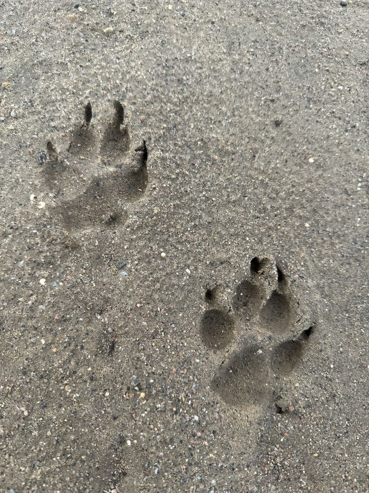 Photograph by Елена Смирнова