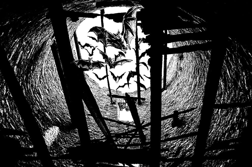 Photograph by Nikolai Barchan