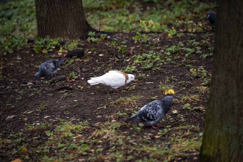 Photograph by Дария Ризниченко