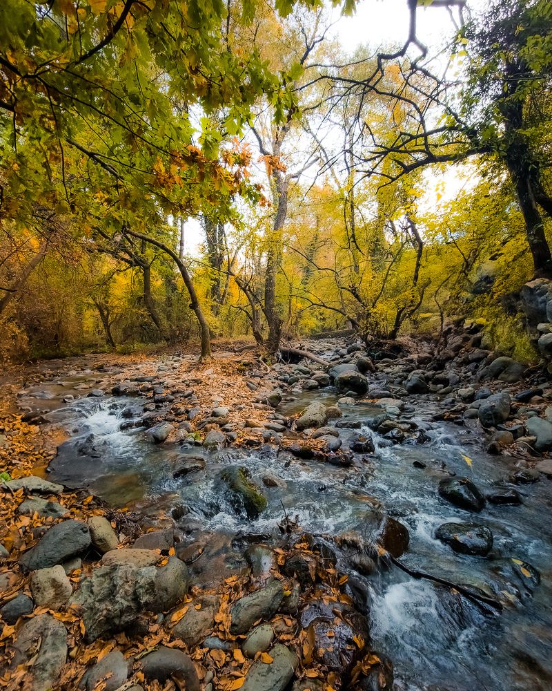 Фотография автора War adnaan qadir