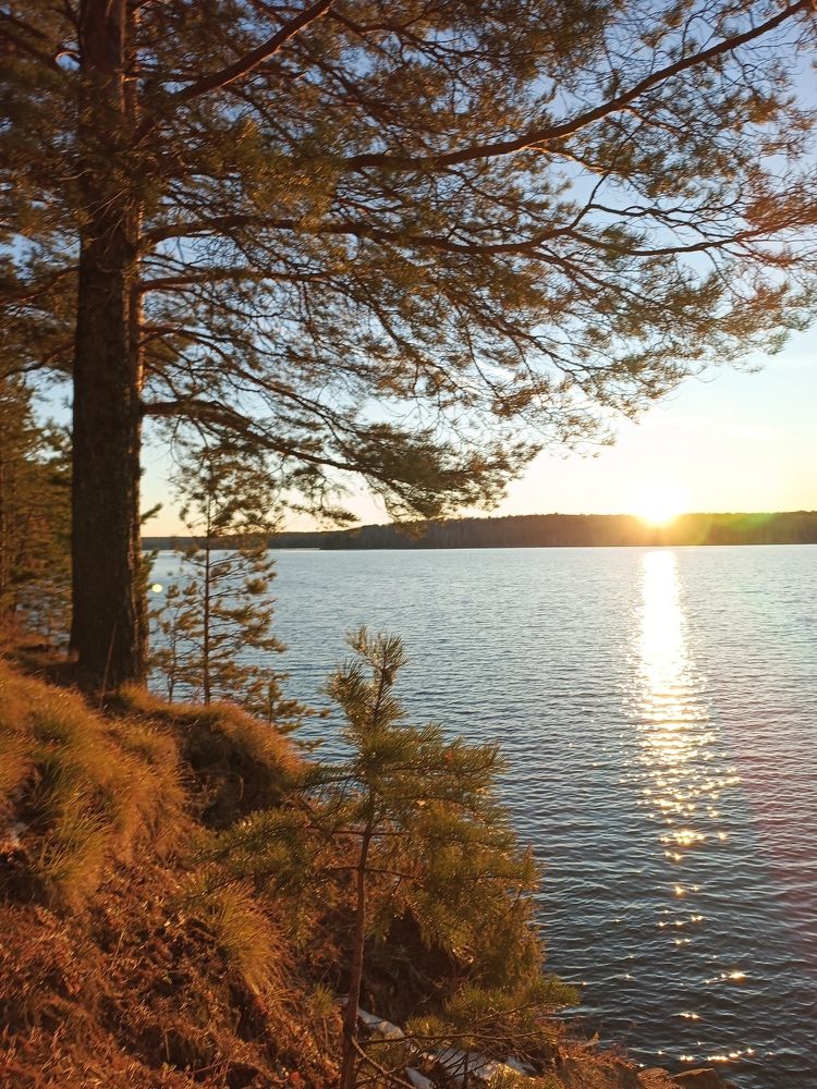 Photo #11262462