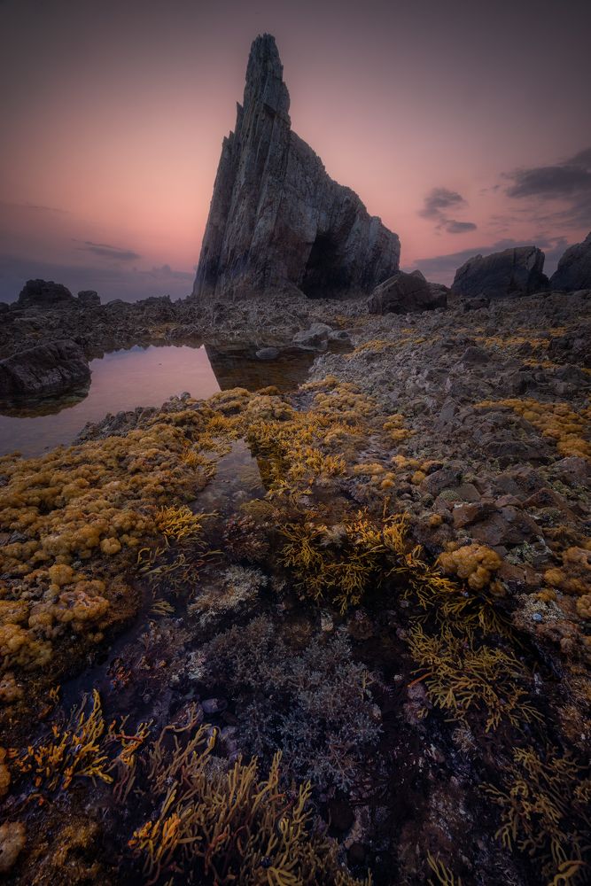 Photograph by Camacho Anto