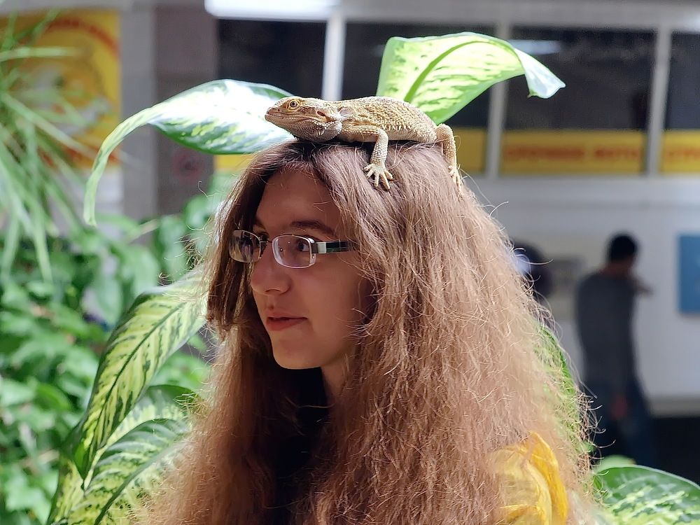 Photograph by Игорь Чеботарёв