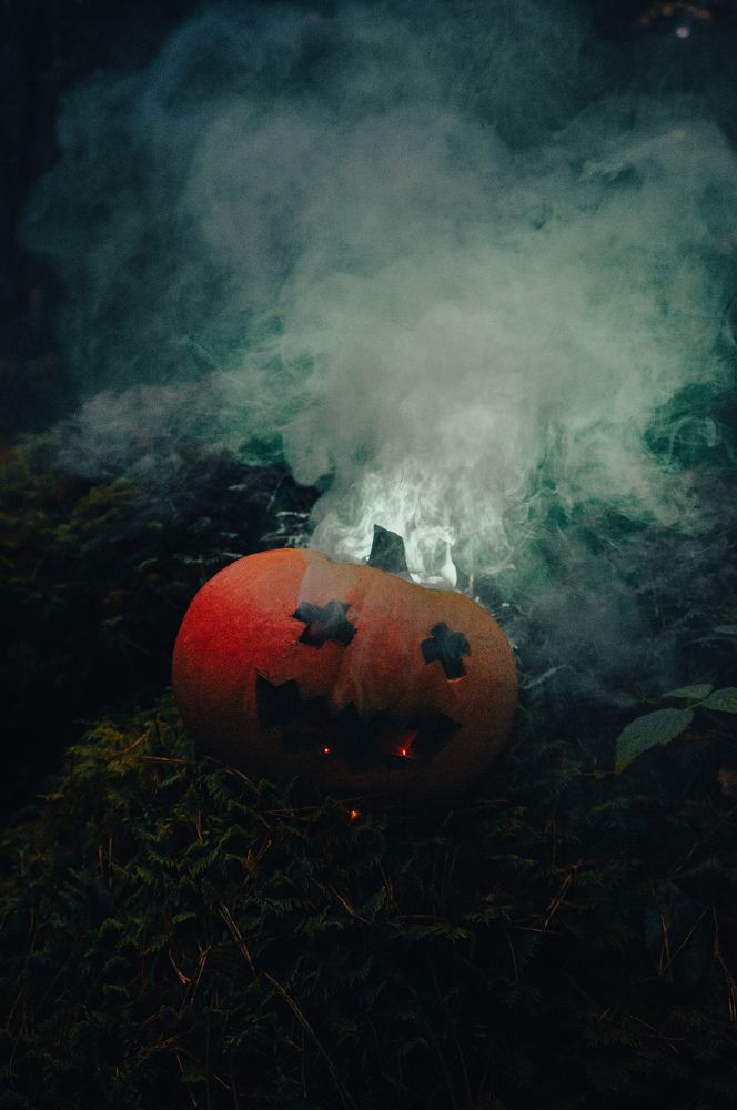 Фотография автора Геннадий Ломеко