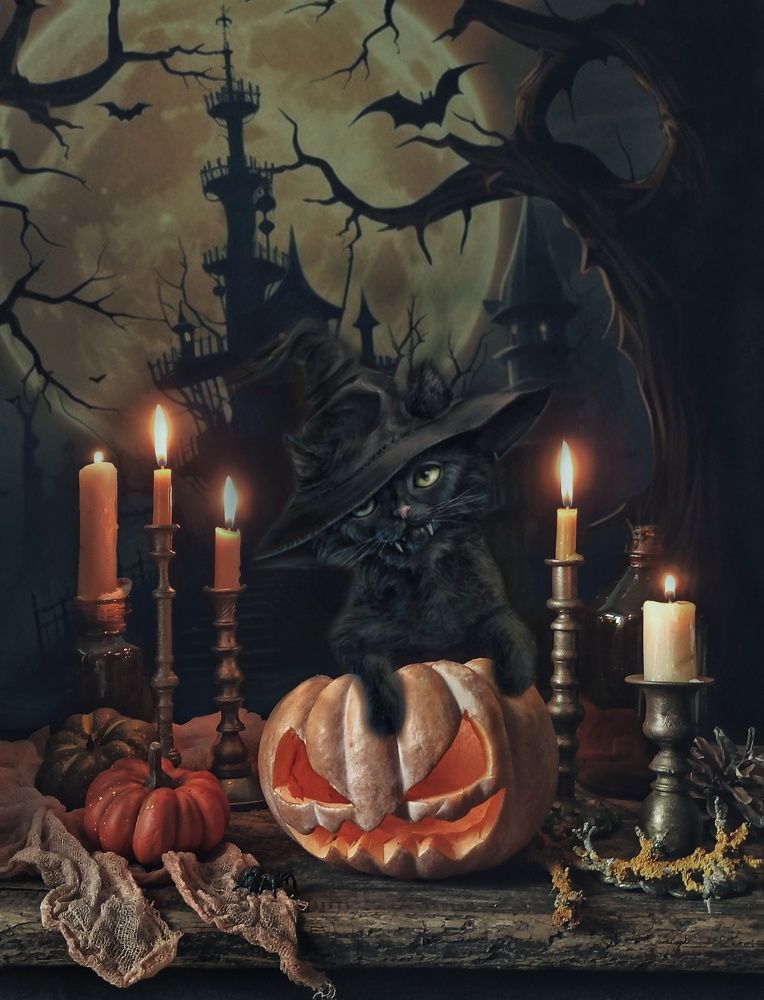 Photograph by Elena Novikova