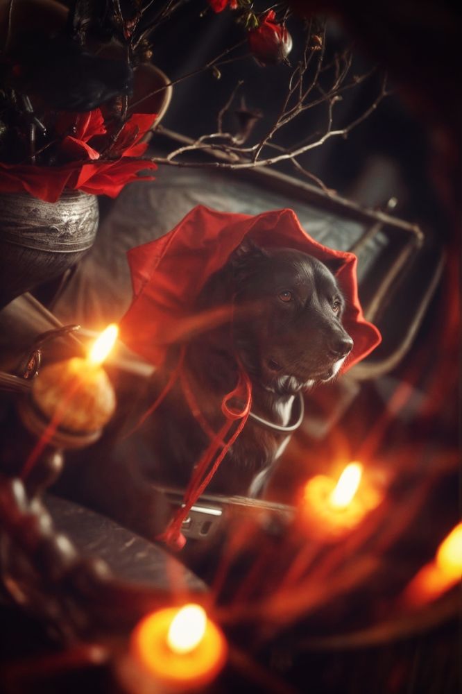 Photograph by Елена Мизюрина