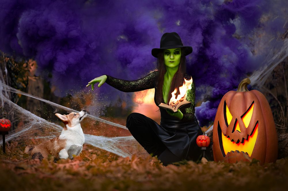 Photograph by Kelemen Tímea