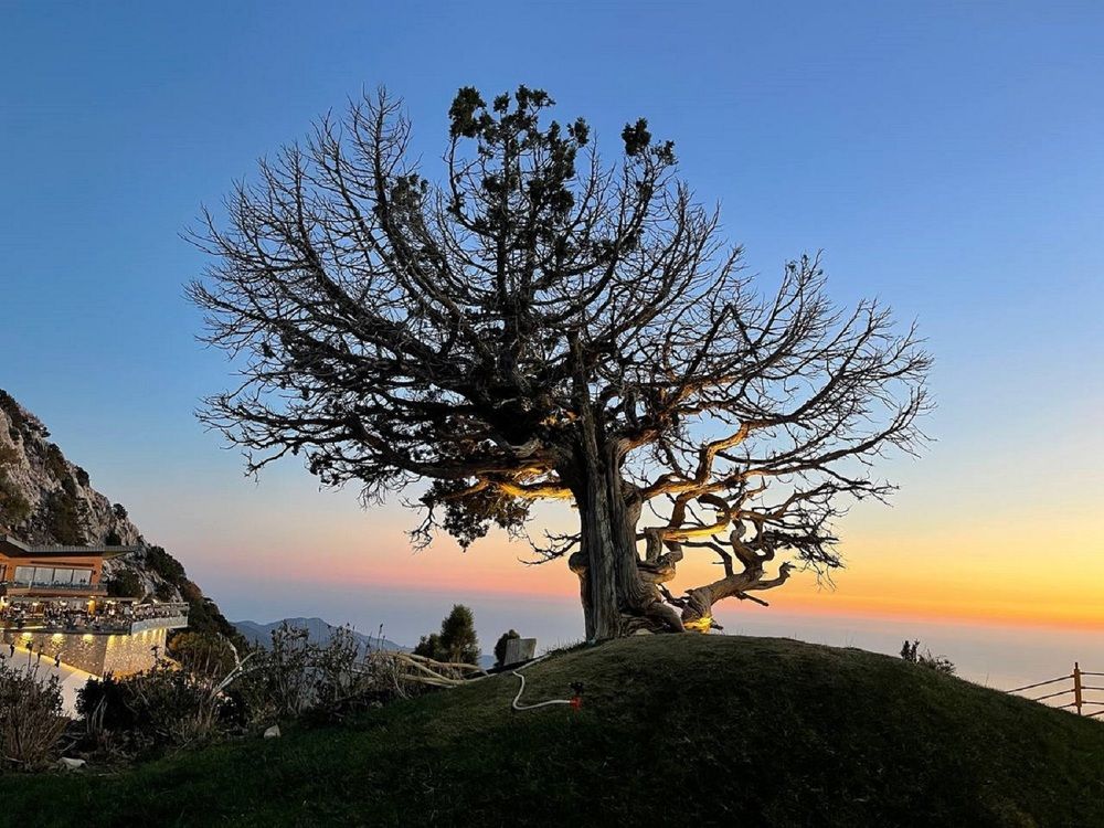 Photograph by Марина Юрченко