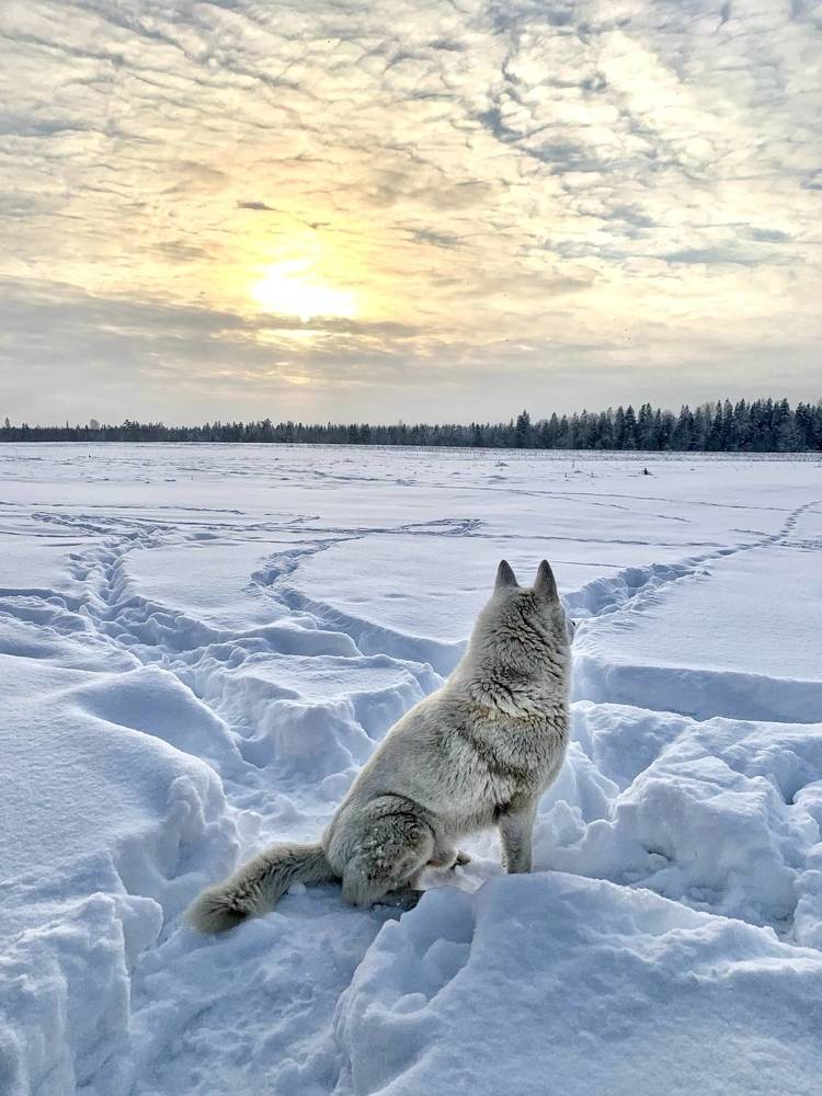 Photograph by Титаренко Людмила