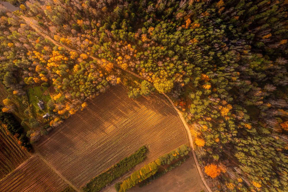 Photograph by Yantsen Alina