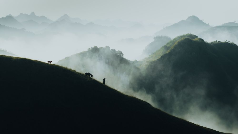 Photograph by Vu Khoa Nguyen Khanh