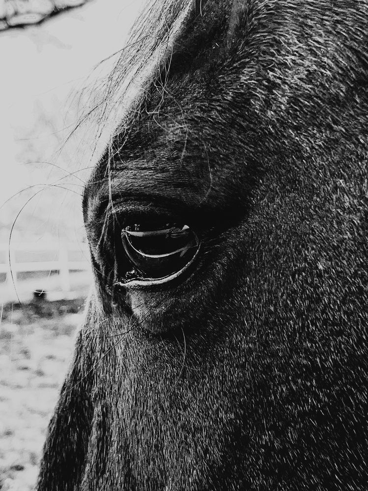 Photograph by Юлия