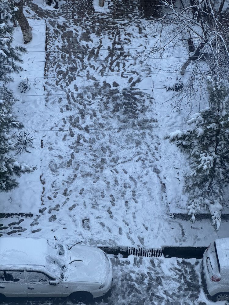 Photograph by Nargiza Karimova