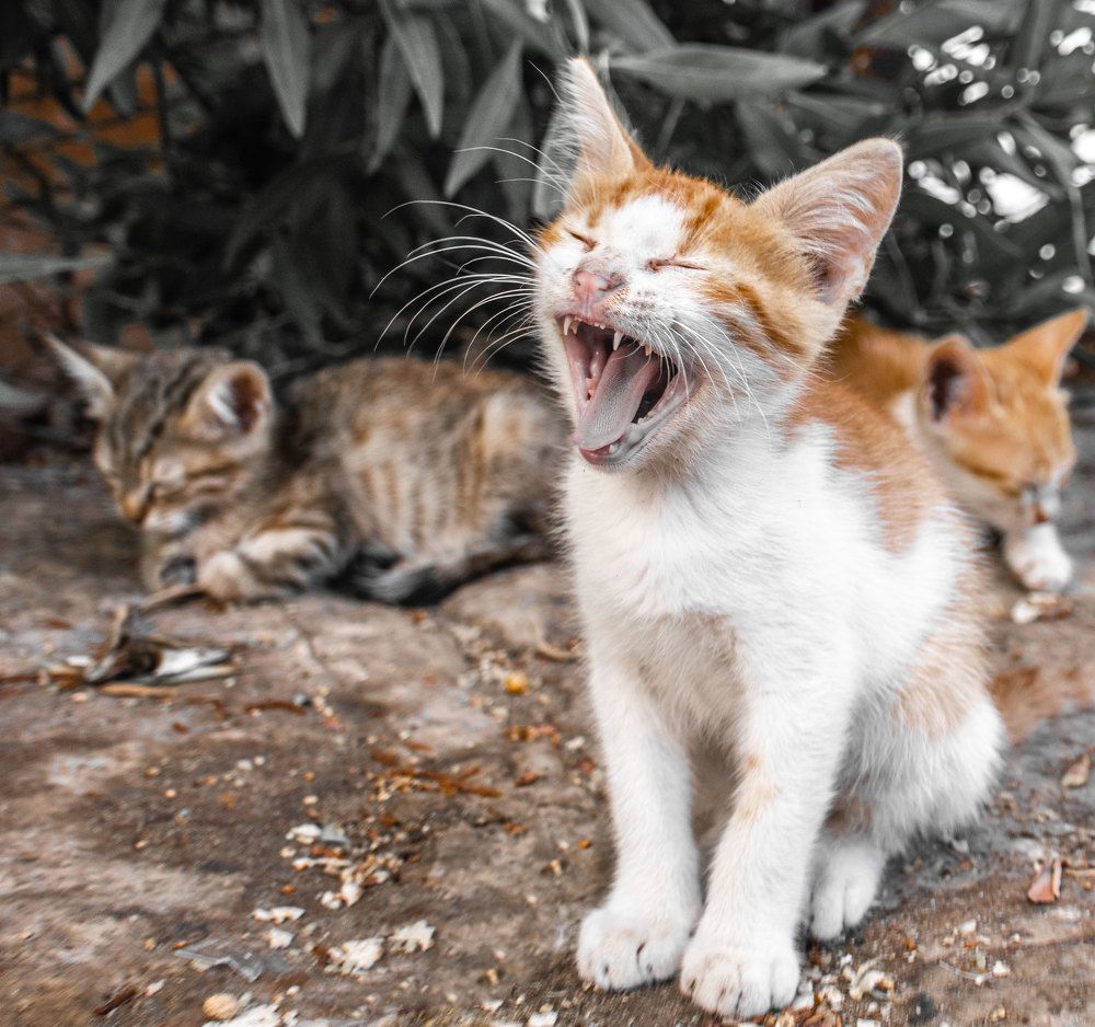 Photograph by Eslam ElsayedEldaramlly