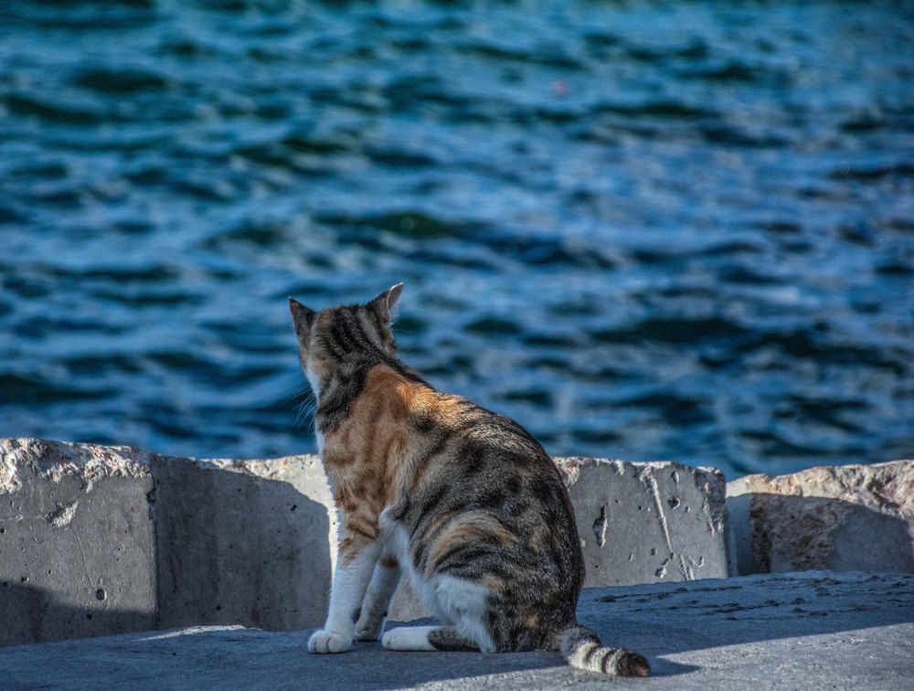 Photograph by Eslam ElsayedEldaramlly