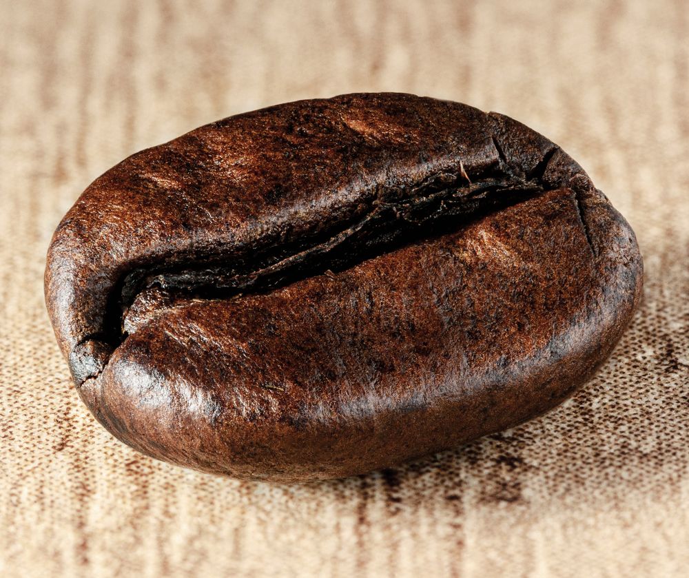 Photograph by Дёгтев Евгений