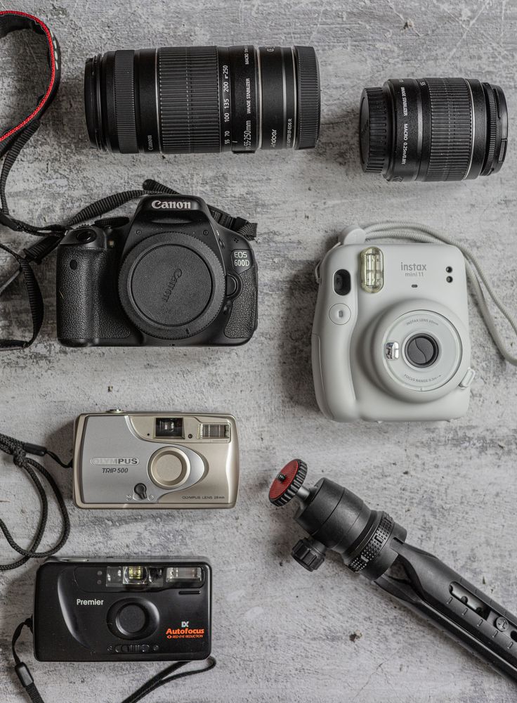 Фотография автора Алина Павлова