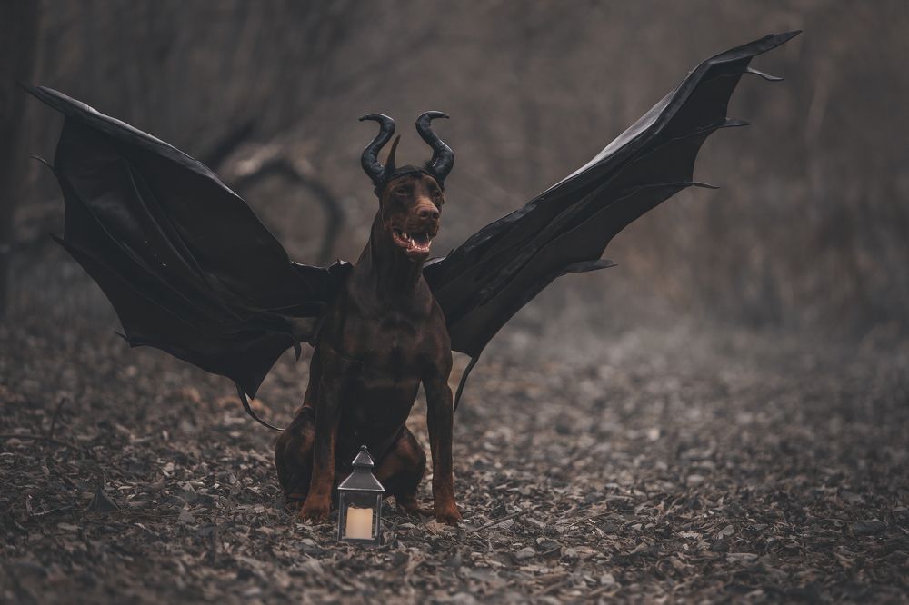 Photograph by Мария Клещенко