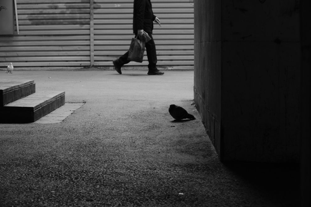 Photograph by Алексей Хасанов