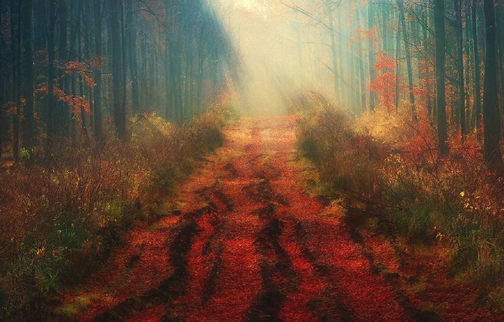 Photograph by Владимир