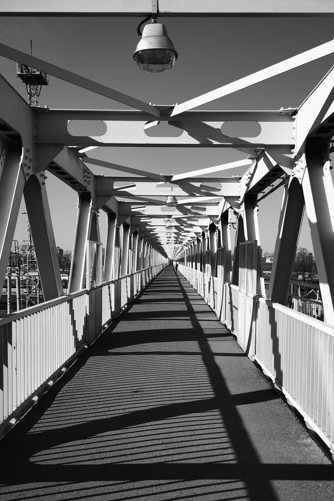 Photograph by Alexander Lonsdale