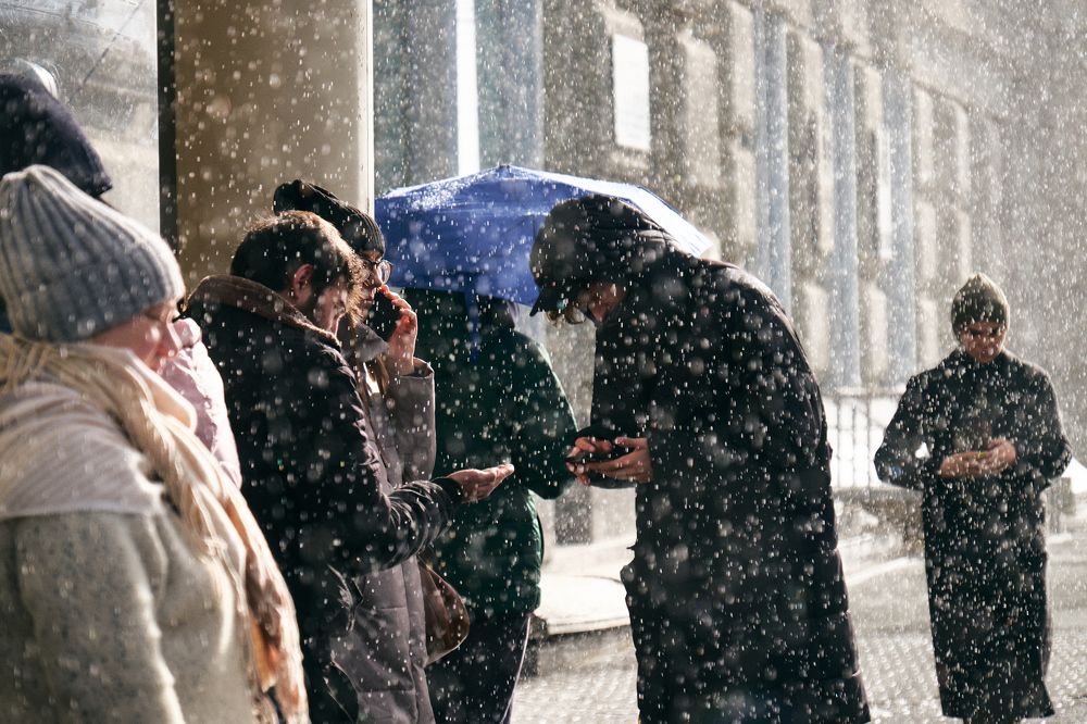 Photograph by Алексей Хасанов