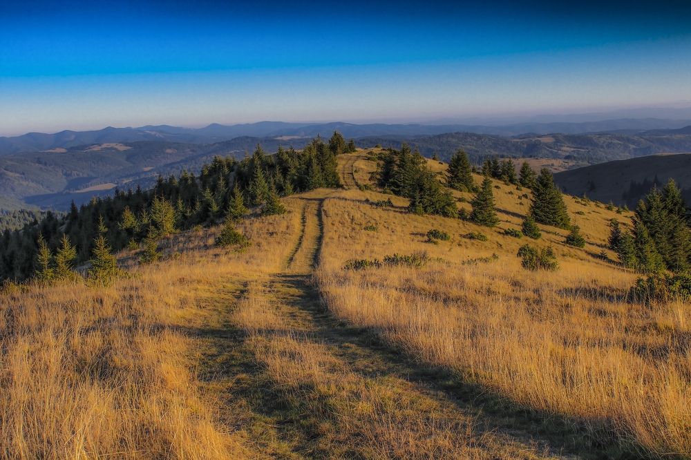 Road to the top of the mountain