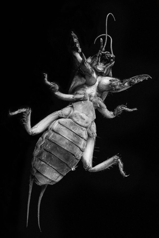 Photograph by Дёгтев Евгений