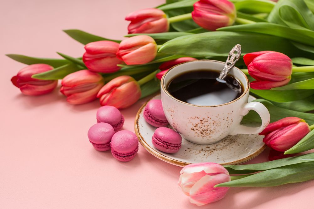 Photograph by Arina Bogachyova