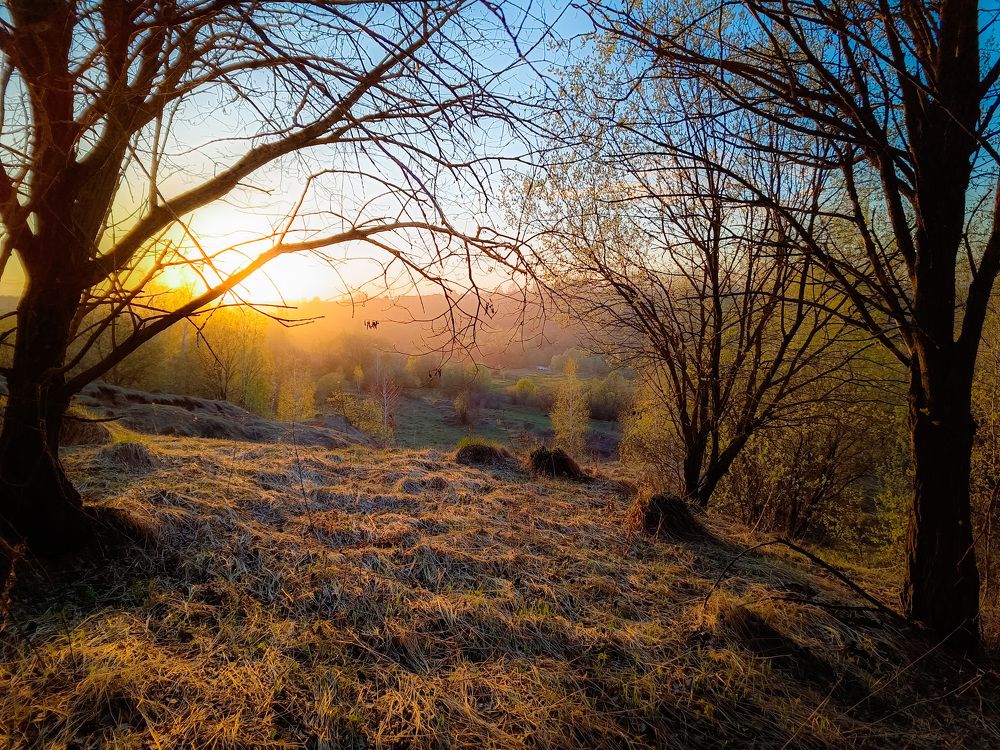 Photograph by Кондрашова Светлана