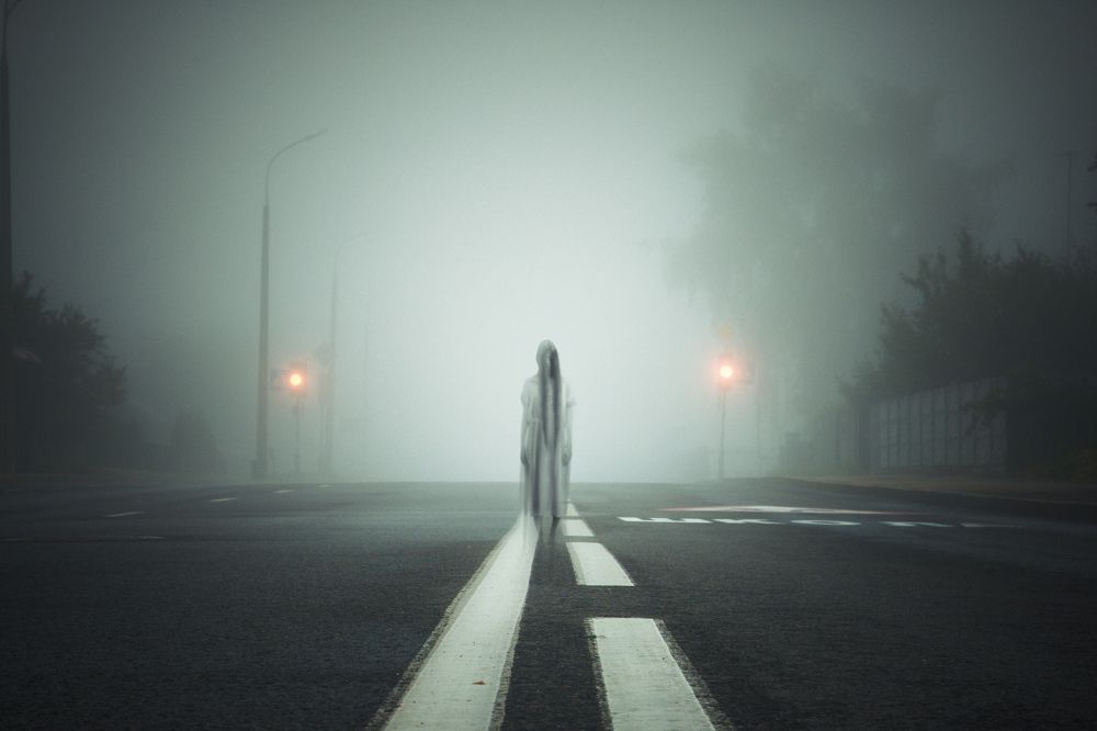 Photograph by Vitaliy