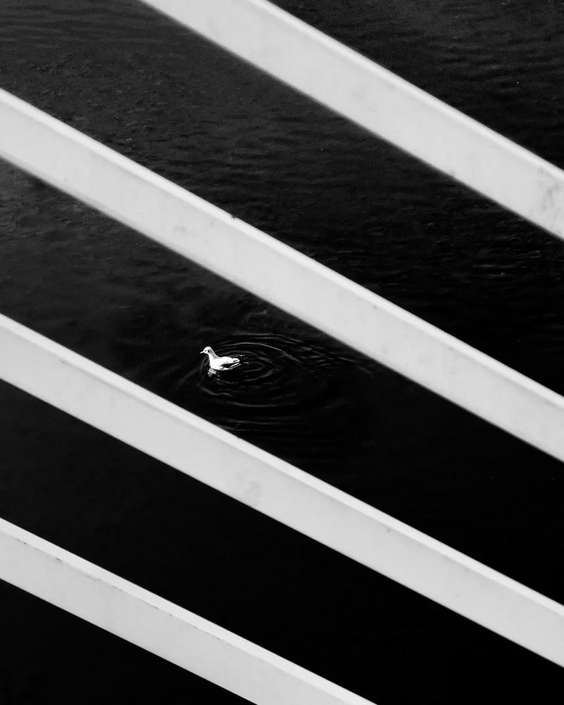 Photograph by keyhan maserat