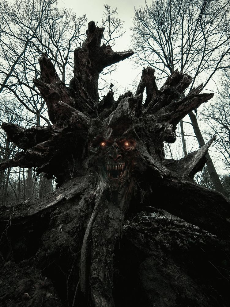 Photograph by Vitaliy